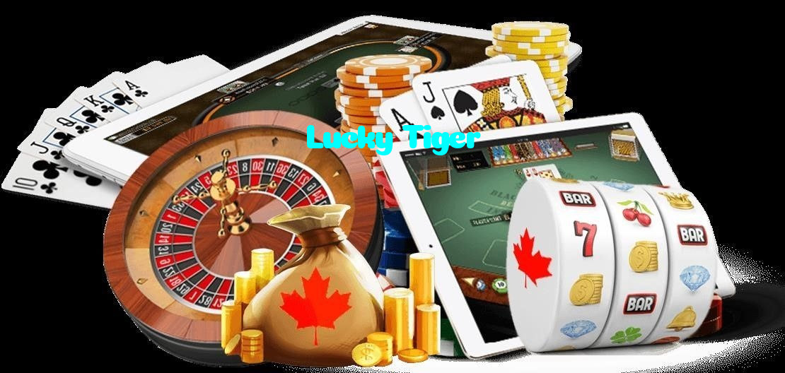 available types of Lucky Tiger bet including pre-match live express and system bets